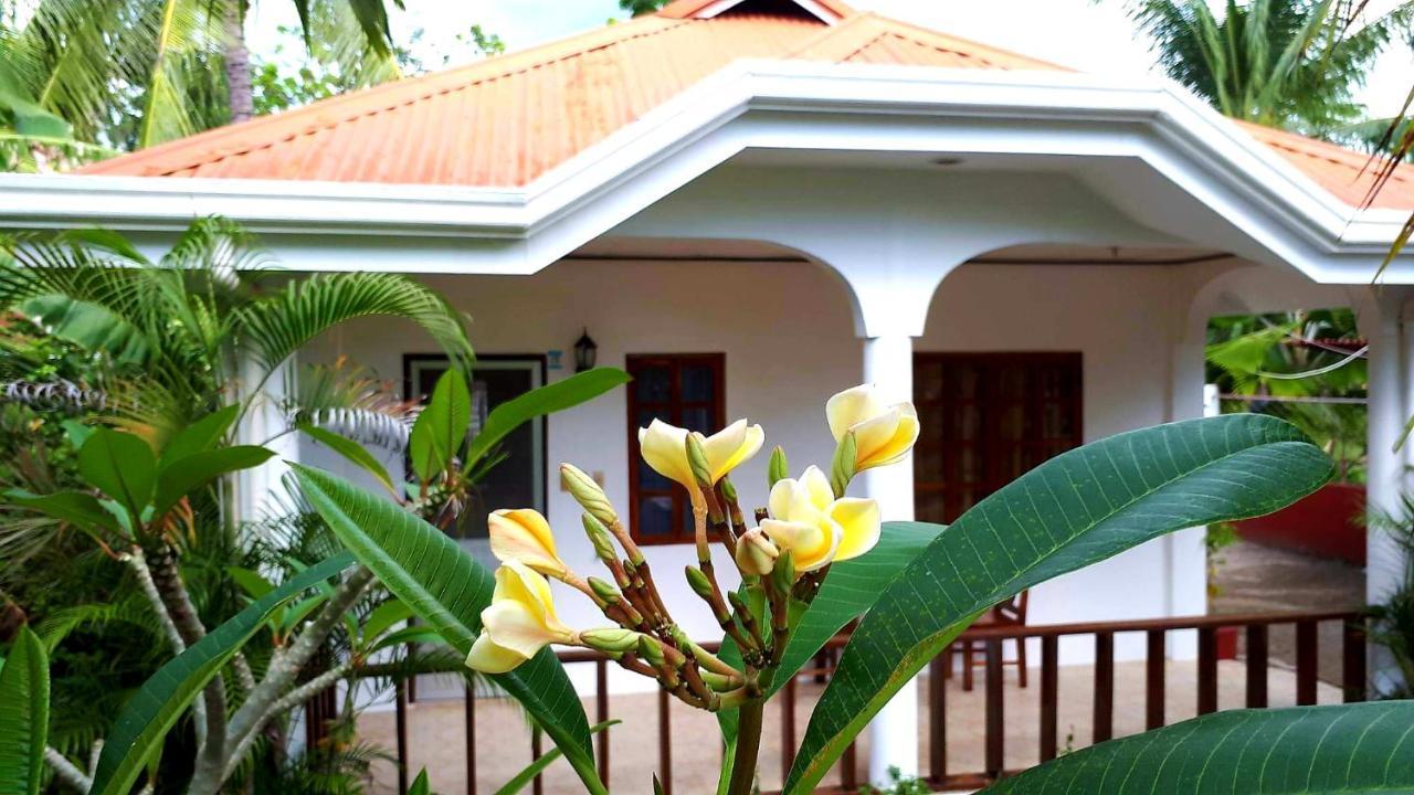 Palmera Palma Private 1-Br Bungalow In Moalboal Kültér fotó
